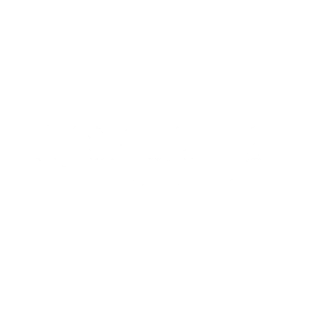 29 artist logo